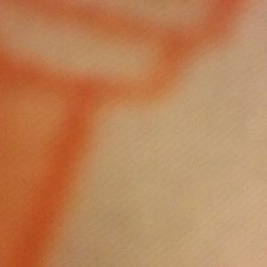 Meet your Posher, Angelyne